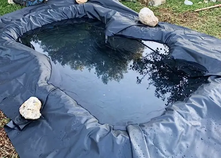 Comment faire un bassin pour tortue d